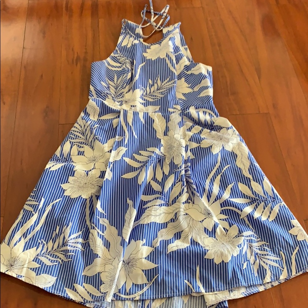 Maggy London Blue Floral Dress